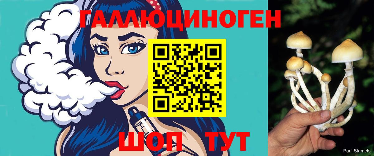 Галлюциногенные грибы Psilocybine cubensis  Вход с VPN  даркнет сайт  Чехов 